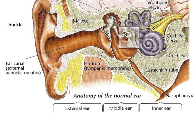 Ear pain when flying (barotrauma) — clinical image 1